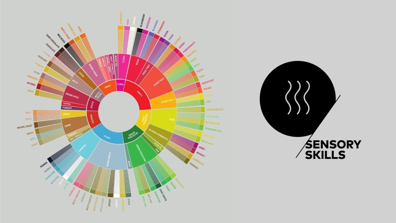 SENSORY-LOGO-1.jpg